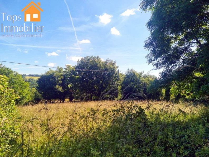 vente Terrain Puyjourdes - Photo 8