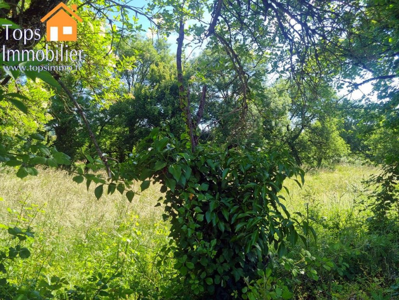 vente Terrain Villefranche De Rouergue - Photo 6