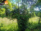 vente Terrain Villefranche De Rouergue