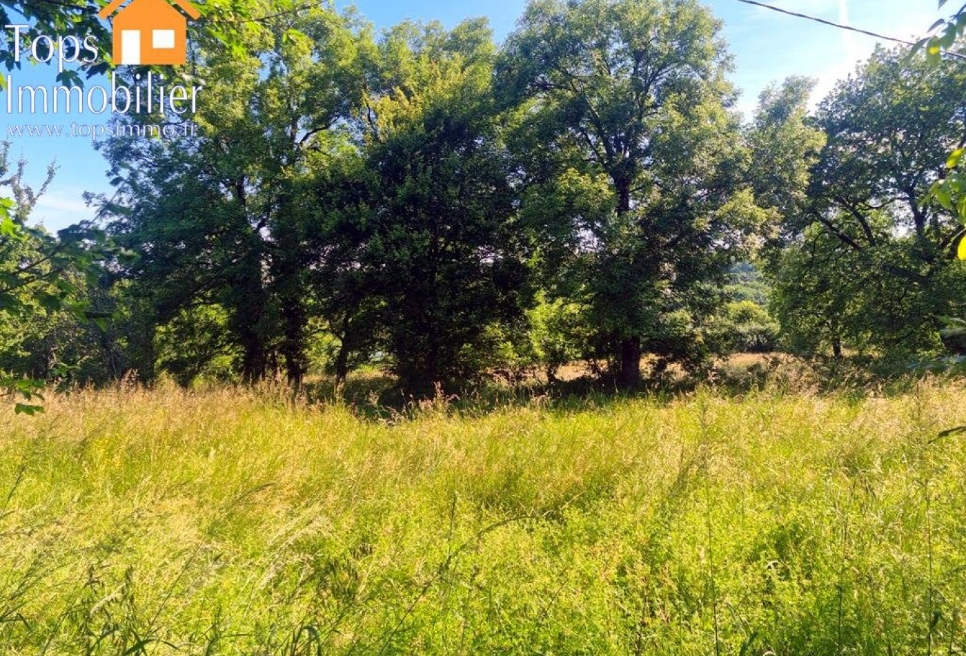 vente Terrain Villefranche De Rouergue - Photo 8