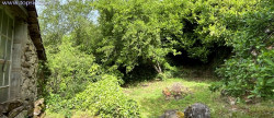 vente Maison Bor-et-bar