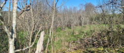vente Terrain Vailhourles