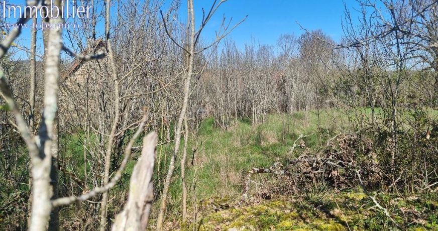 vente Terrain Vailhourles