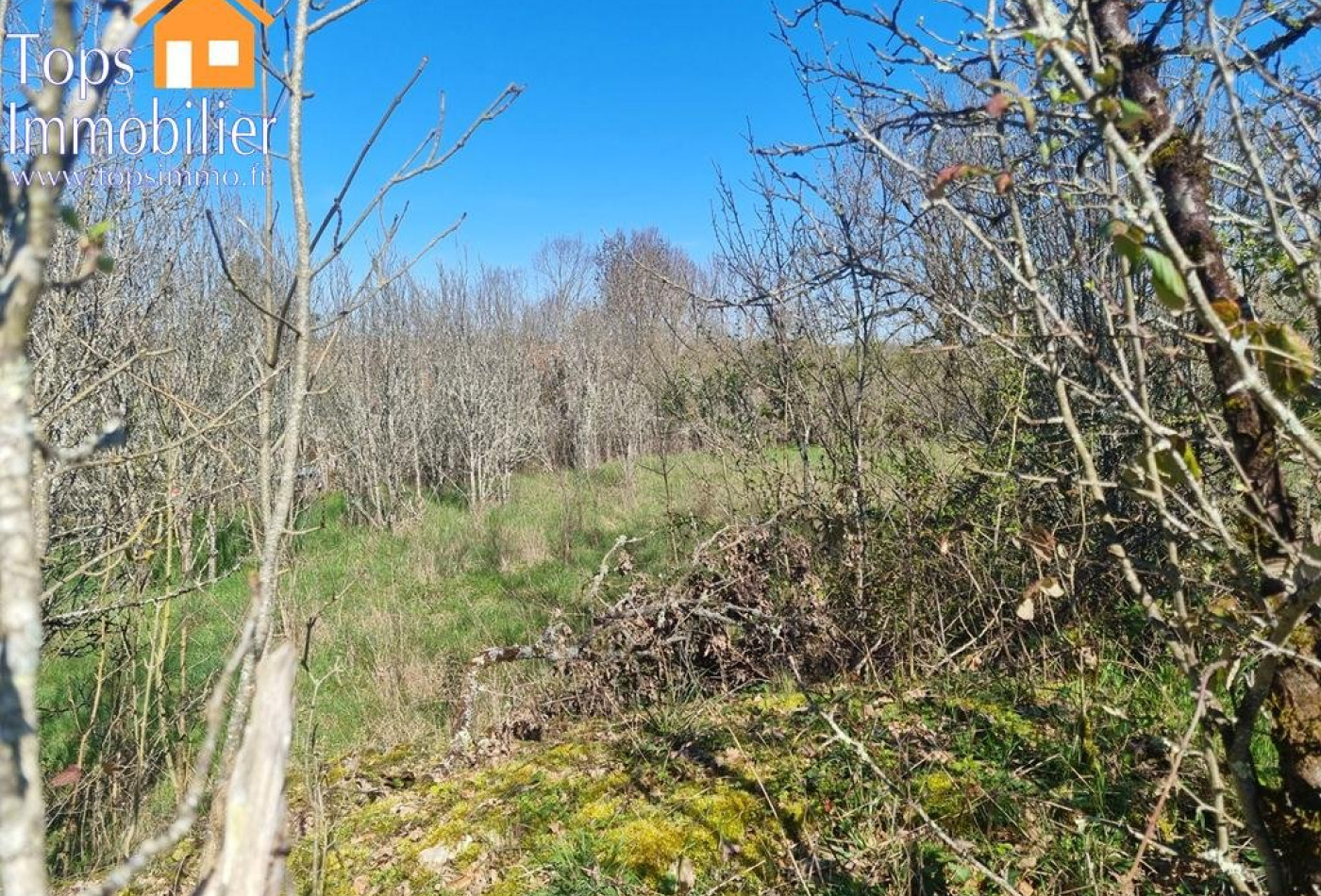 vente Terrain Vailhourles - Photo 7
