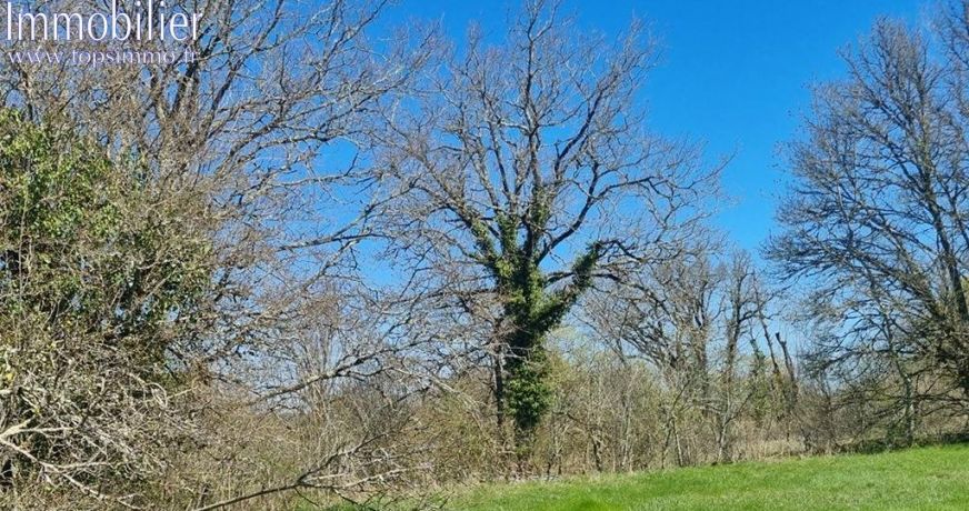 vente Terrain Vailhourles