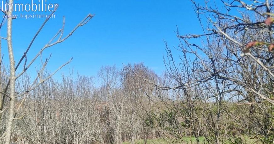 vente Terrain Vailhourles