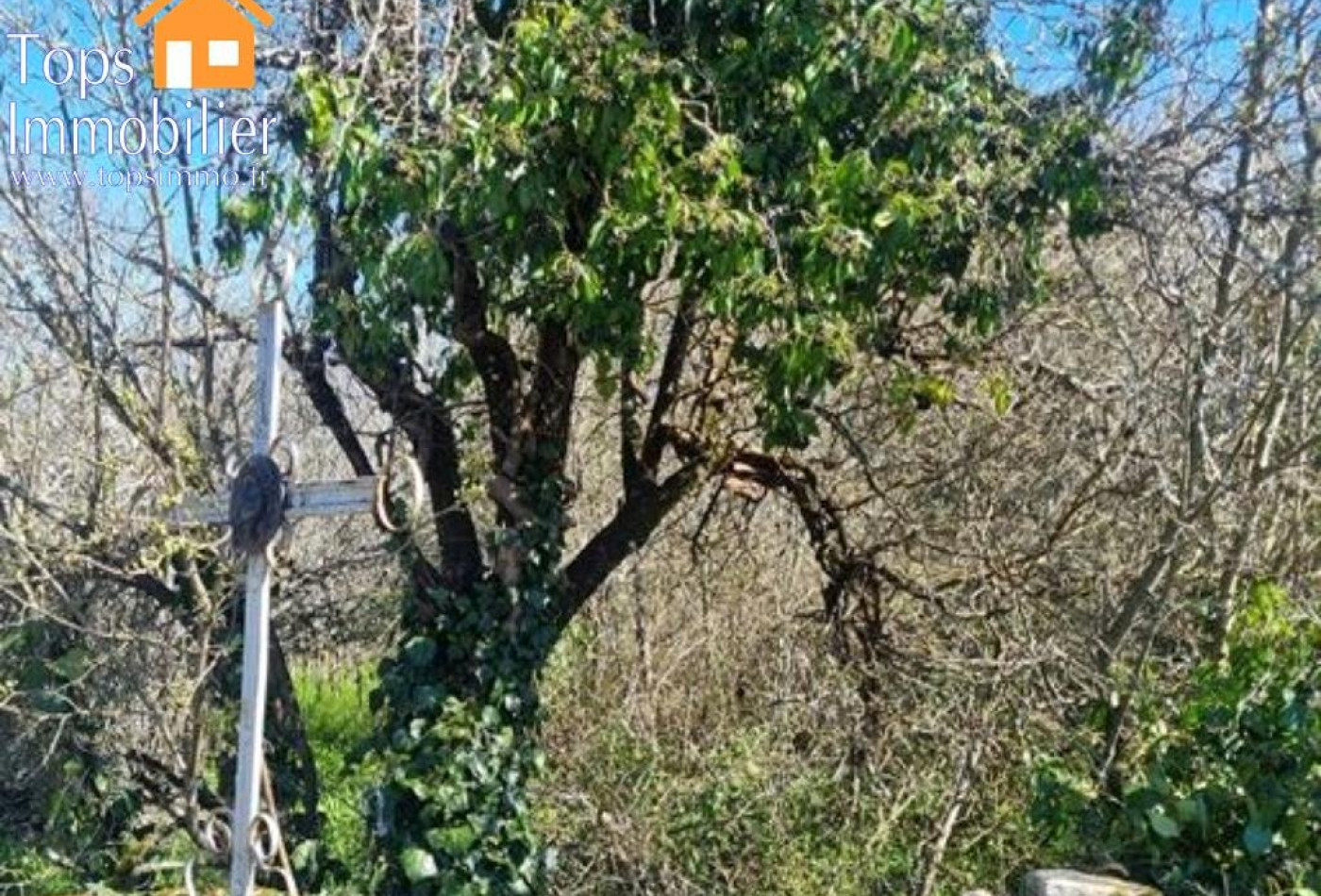 vente Terrain Vailhourles - Photo 10