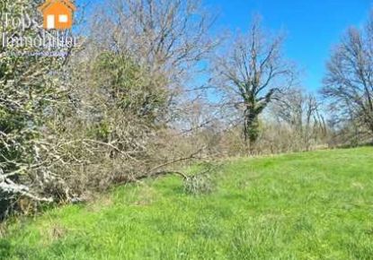 vente Terrain Vailhourles