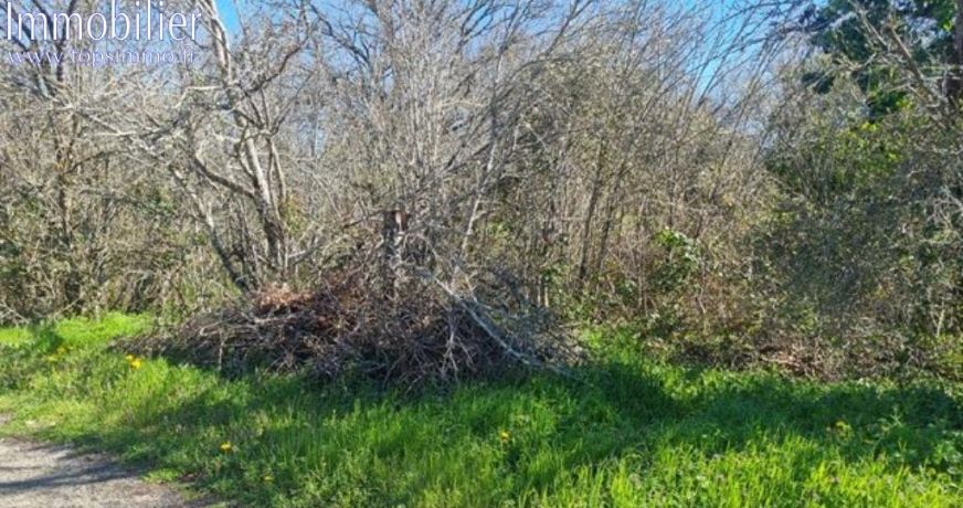vente Terrain Vailhourles