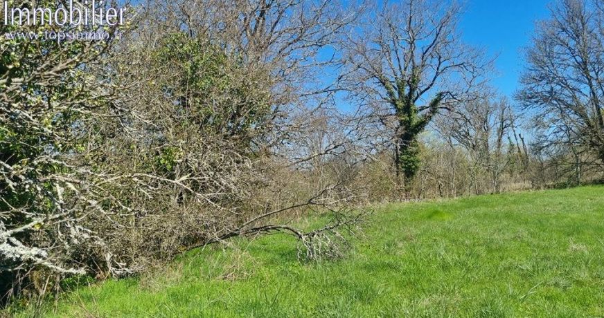 vente Terrain Vailhourles