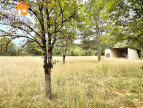 vente Maison Martiel