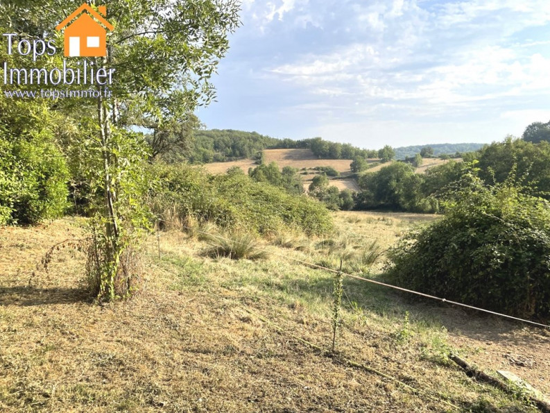 vente Maison Najac - Photo 4