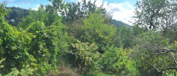 vente Terrain de loisir Villefranche De Rouergue
