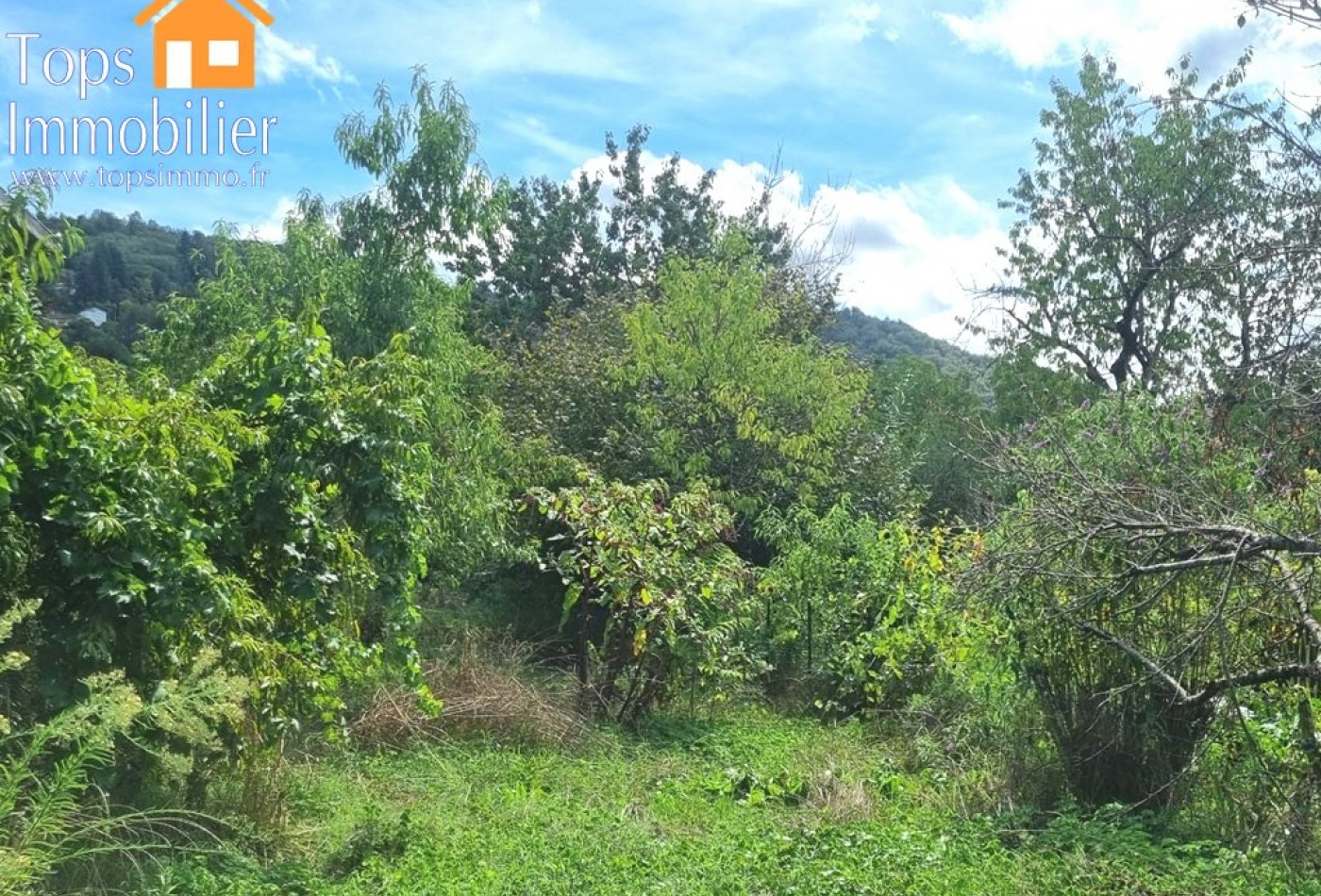 vente Terrain de loisir Villefranche De Rouergue - Photo 6