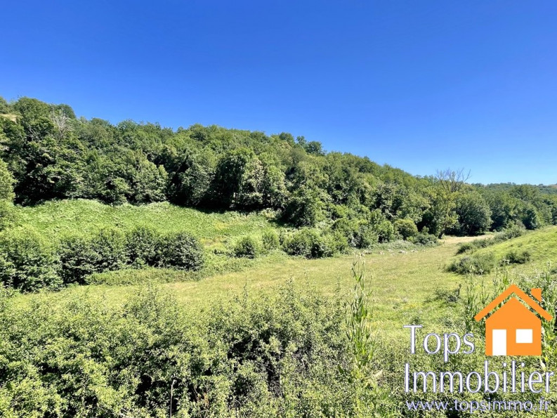 vente Maison Sanvensa - Photo 4