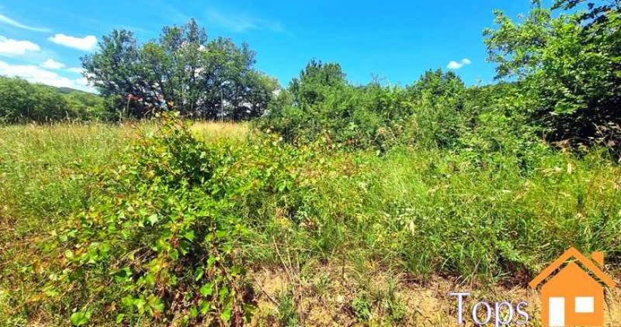 vente Terrain Verfeil Sur Seye