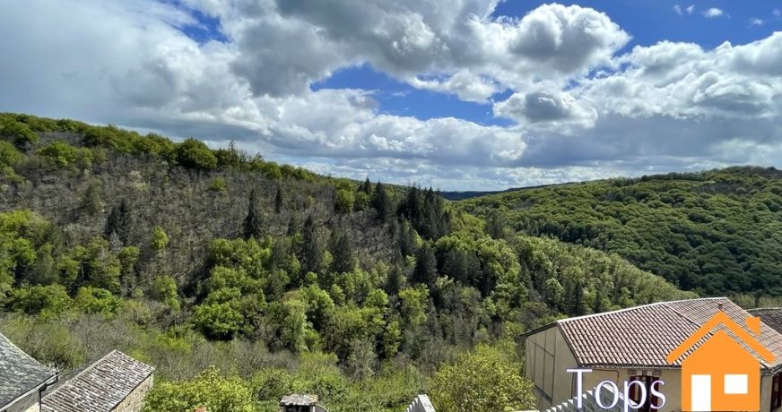 vente Maison Najac