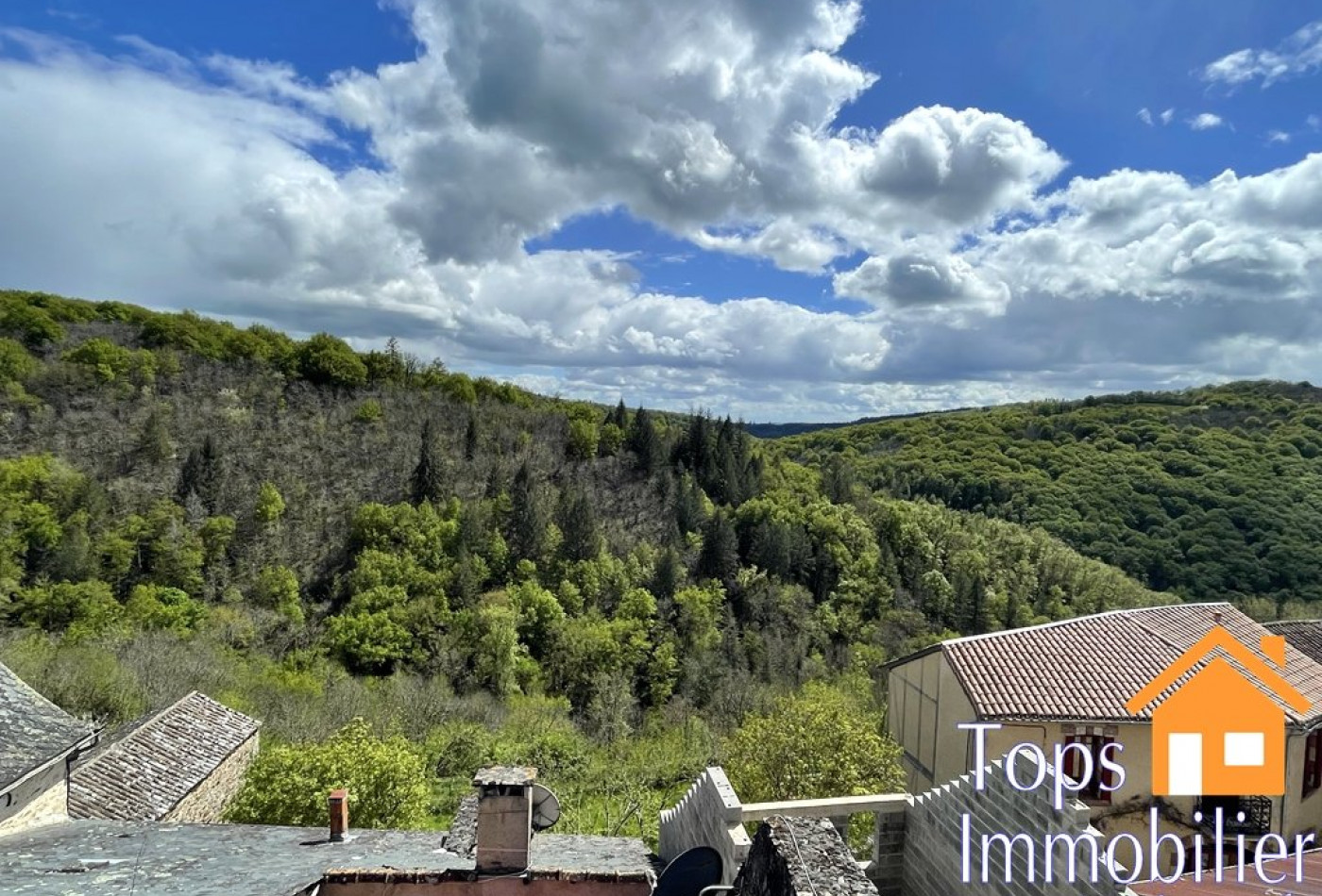 vente Maison Najac - Photo 3