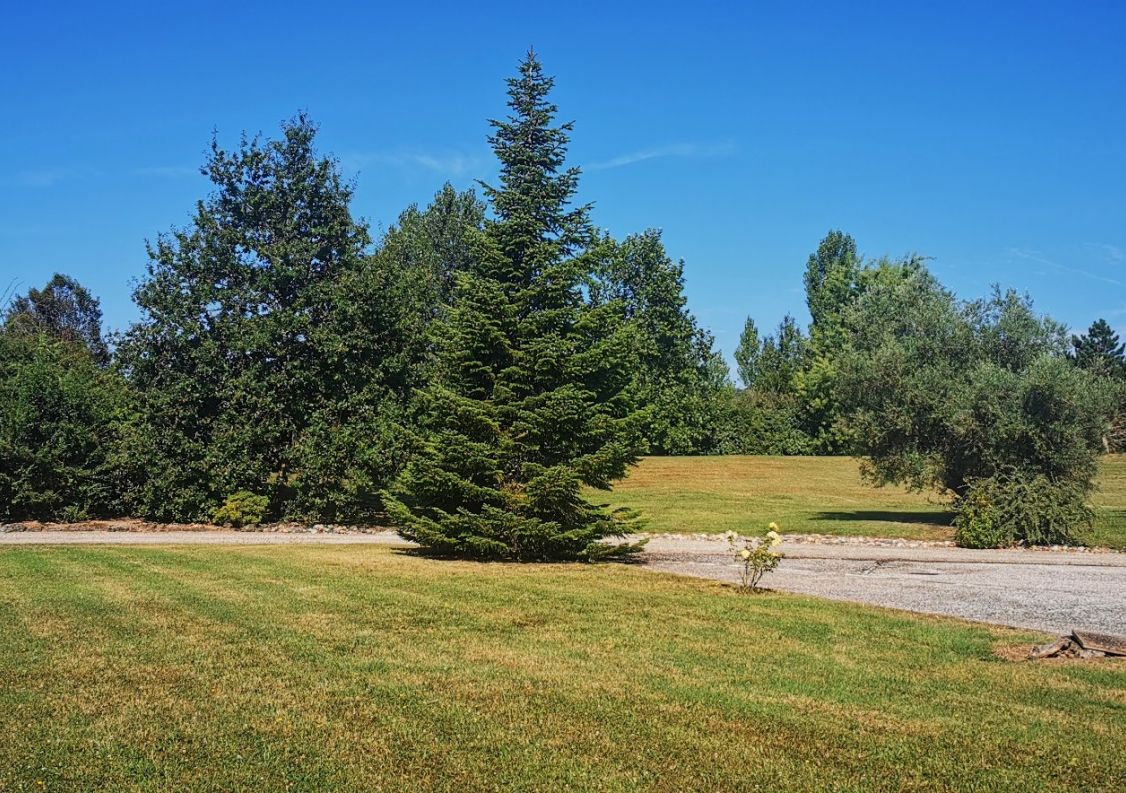 vente Propriété Casseneuil