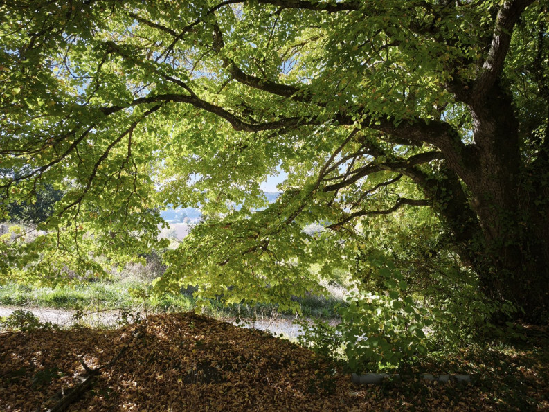 vente Terrain constructible Lacour - Photo 9