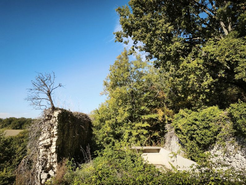 vente Terrain constructible Lacour - Photo 2