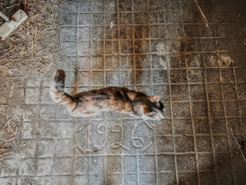 vente Maison Miramont De Quercy - Photo 4