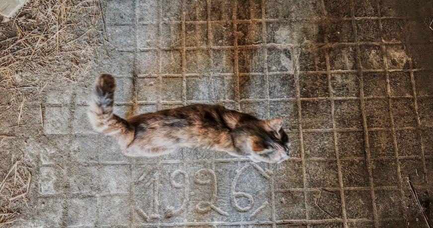 vente Maison Miramont De Quercy