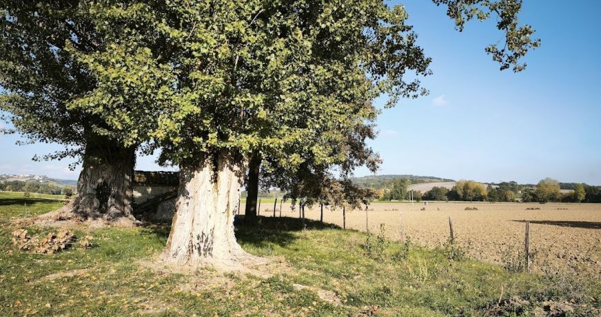 vente Maison Miramont De Quercy