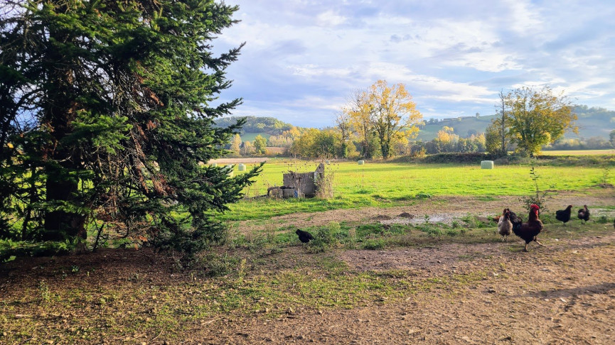 vente Propriété agricole Saint Nazaire De Valentane - Photo 12