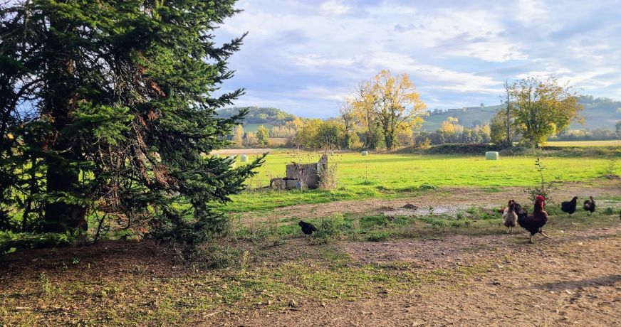 vente Propriété agricole Saint Nazaire De Valentane