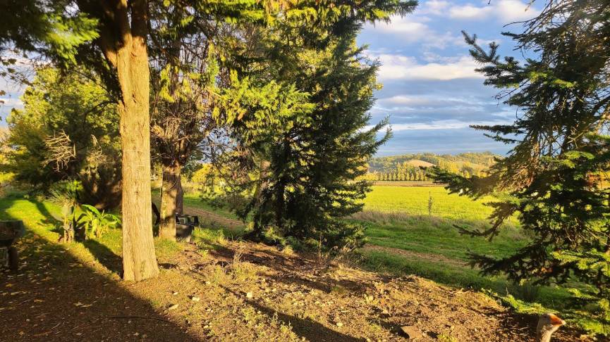 vente Propriété agricole Saint Nazaire De Valentane - Photo 14