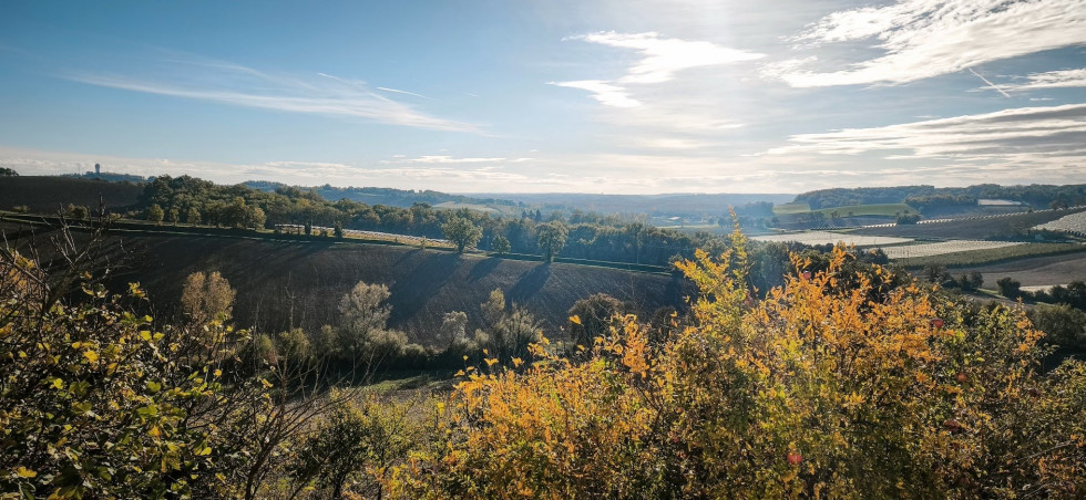 vente Propriété Saint Vincent Lespinasse - Photo 7