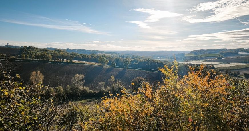 vente Propriété Saint Vincent Lespinasse