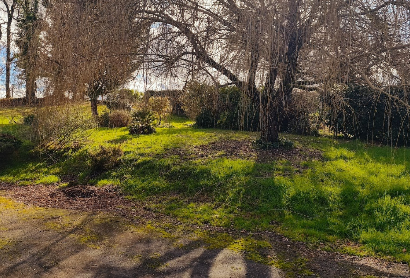 vente Maison individuelle Durfort Lacapelette - Photo 2