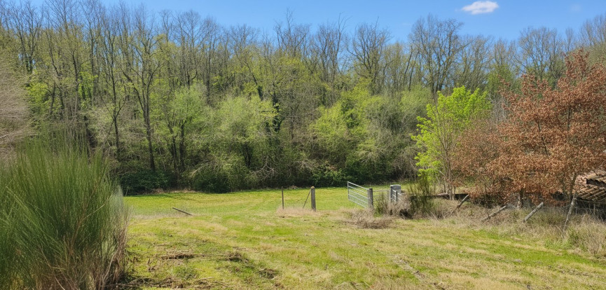 vente Maison Durfort Lacapelette - Photo 2