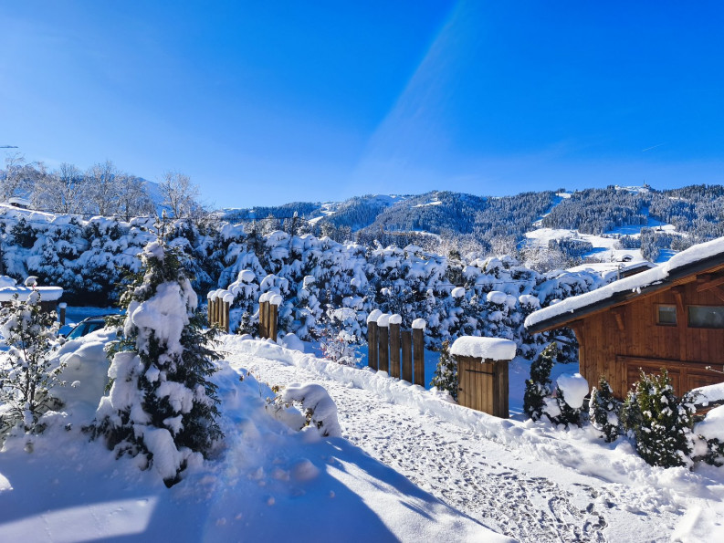 vente Chalet Megeve - Photo 19