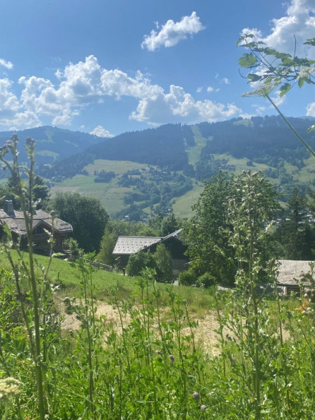 vente Terrain constructible Megeve - Photo 1