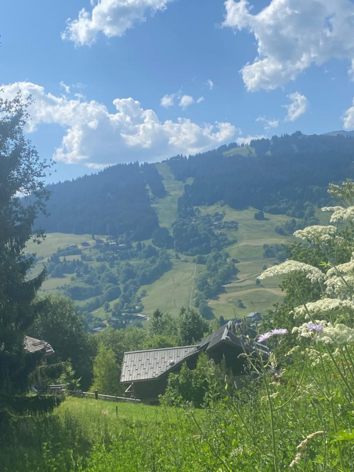 sale Terrain constructible Megeve - Photo 2