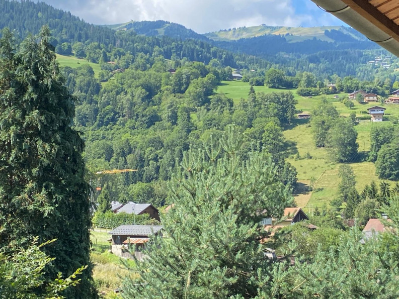 vente Studio cabine mezzanine Saint Gervais Les Bains - Photo 8