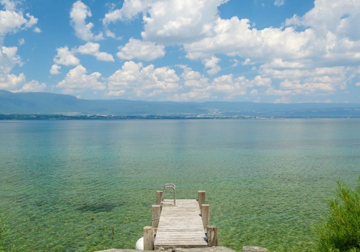 vente Maison Chens Sur Leman