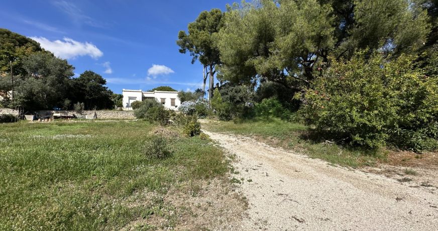 vente Terrain La Ciotat