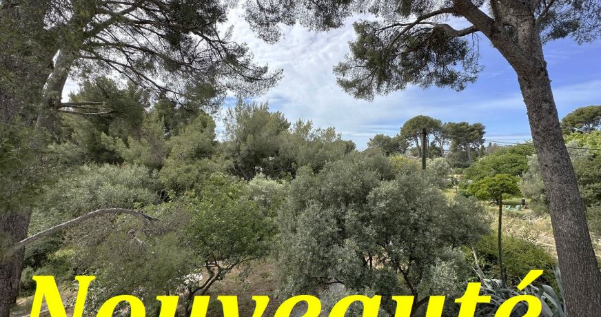 vente Terrain La Ciotat