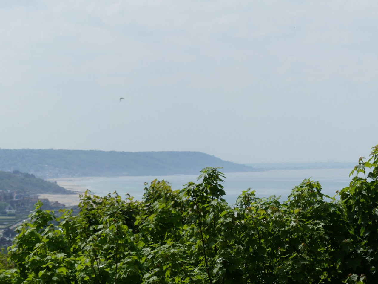 à vendre Appartement Trouville Sur Mer - Photo 8