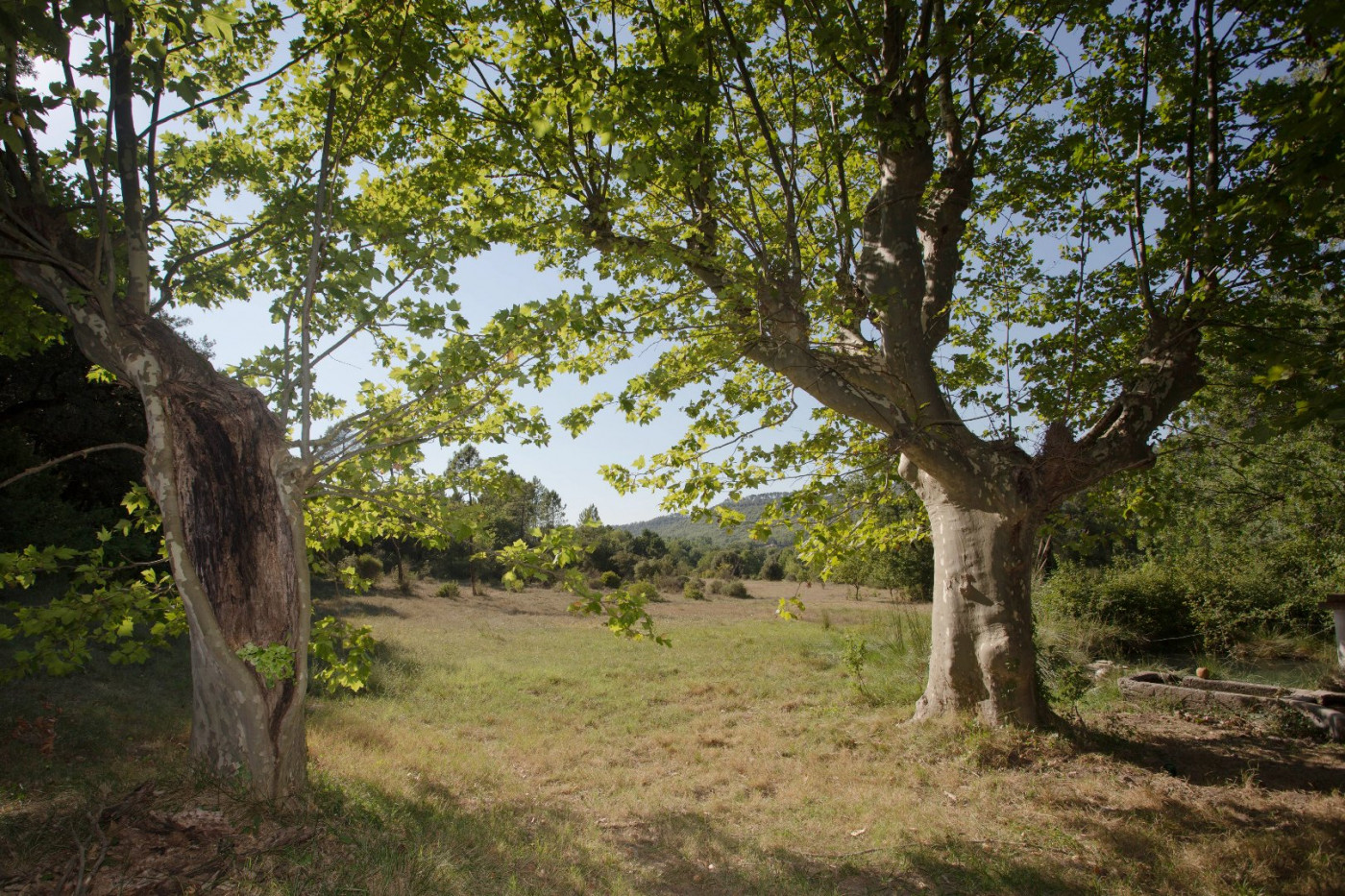 à vendre Propriété agricole Camps La Source - Photo 4