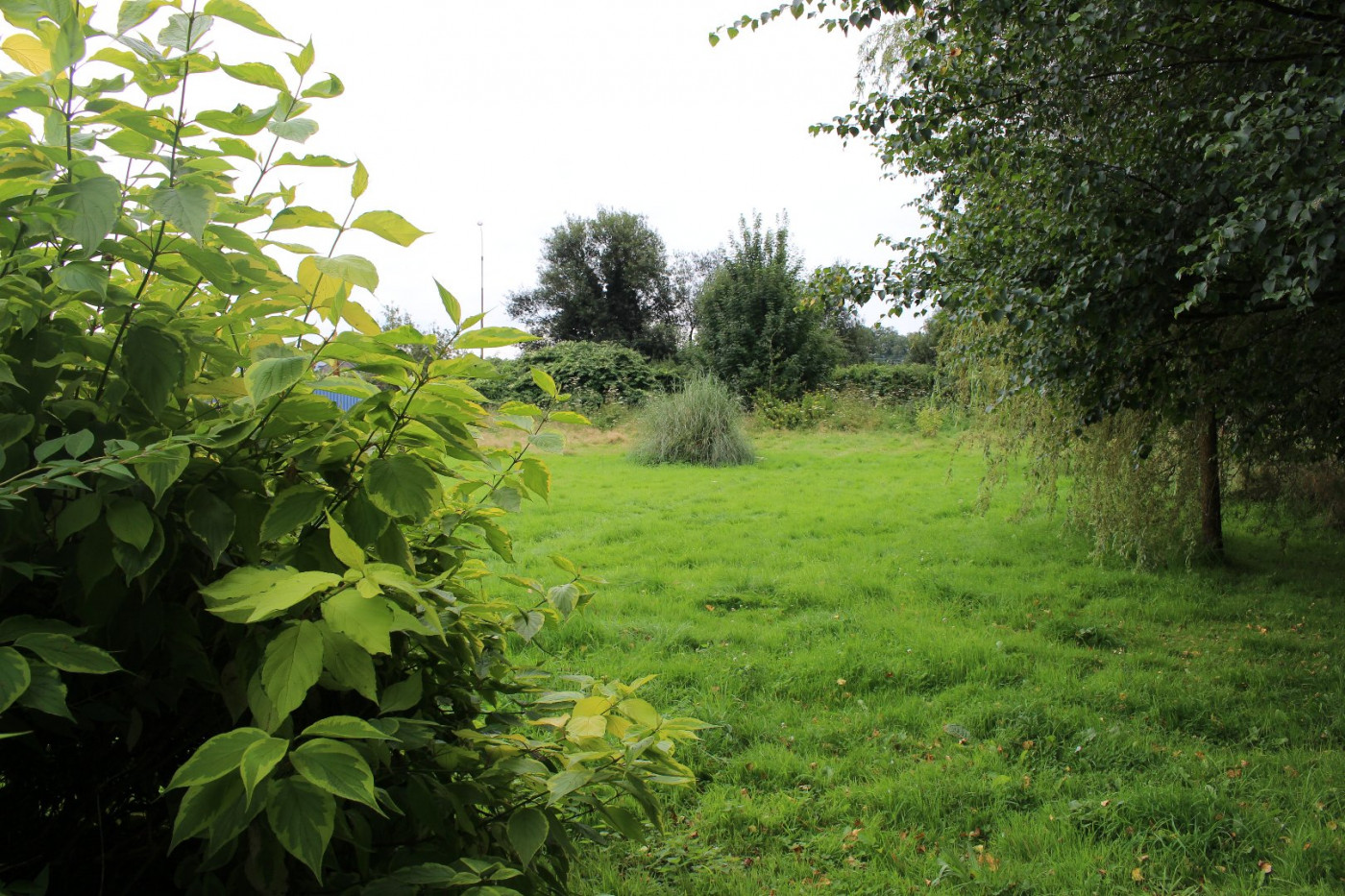 à vendre Maison Yvetot - Photo 10