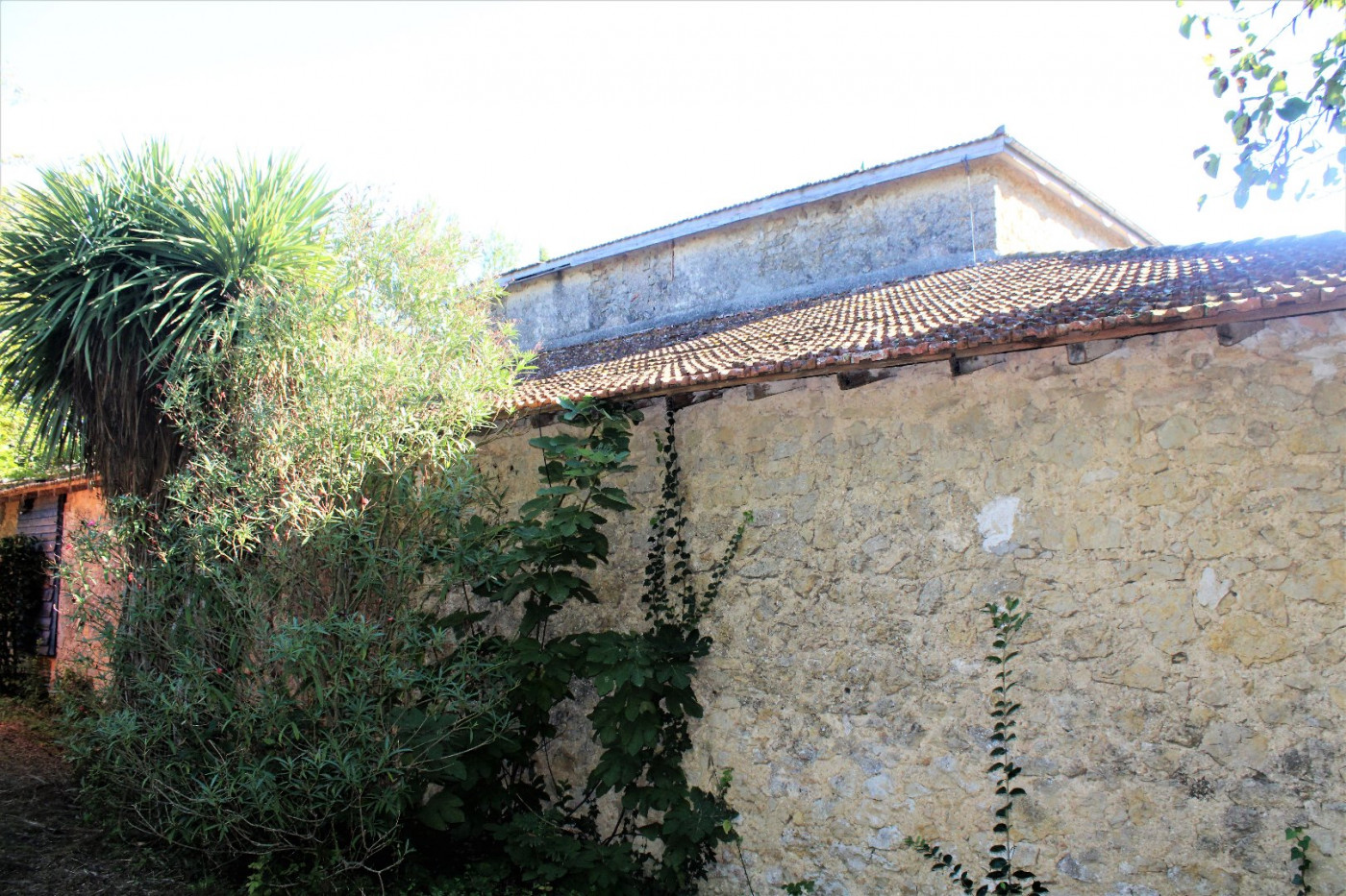 à vendre Maison lauragaise Mas Saintes Puelles - Photo 4