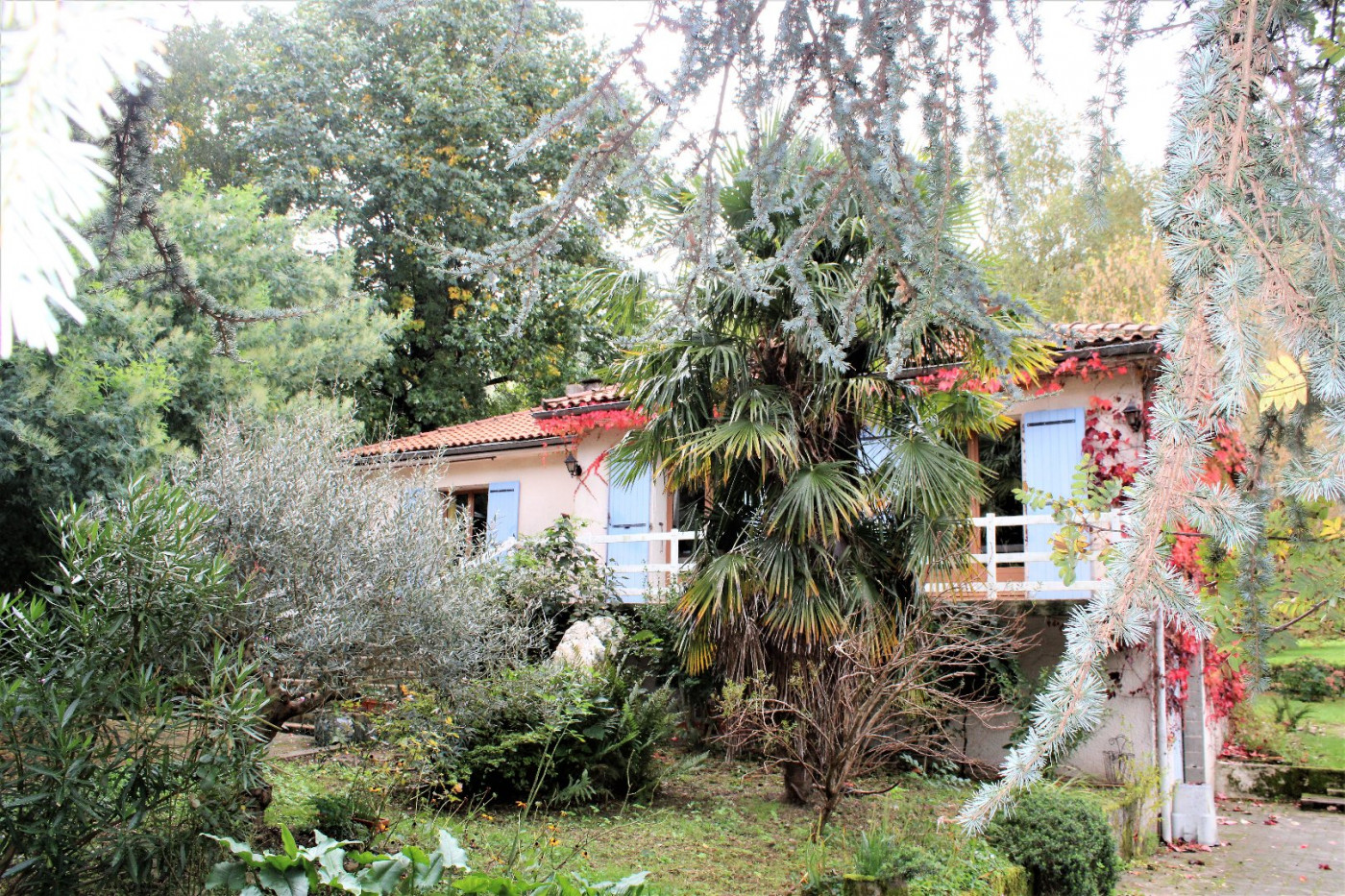 à vendre Maison Massaguel - Photo 1