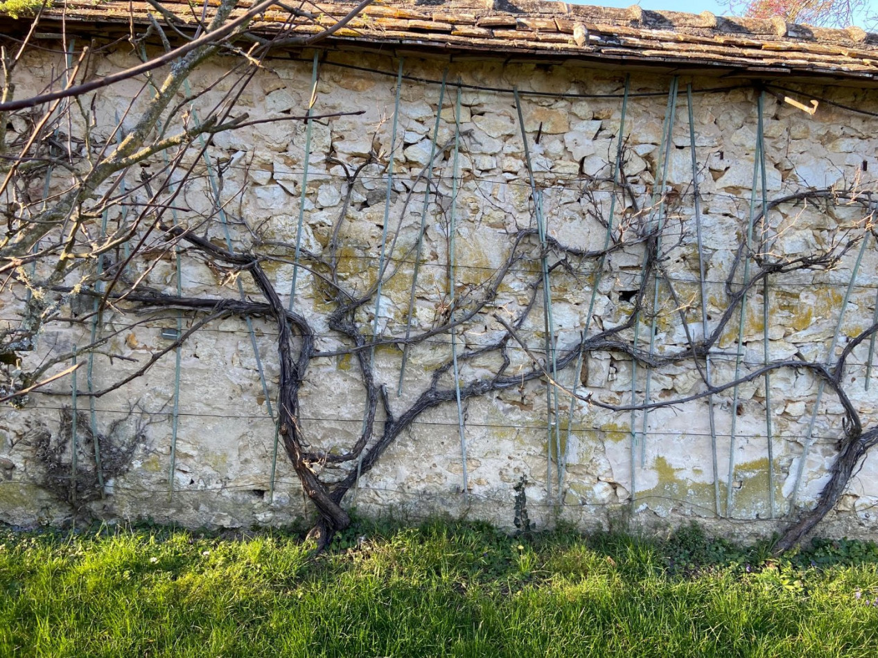 à vendre Maison Thomery - Photo 10