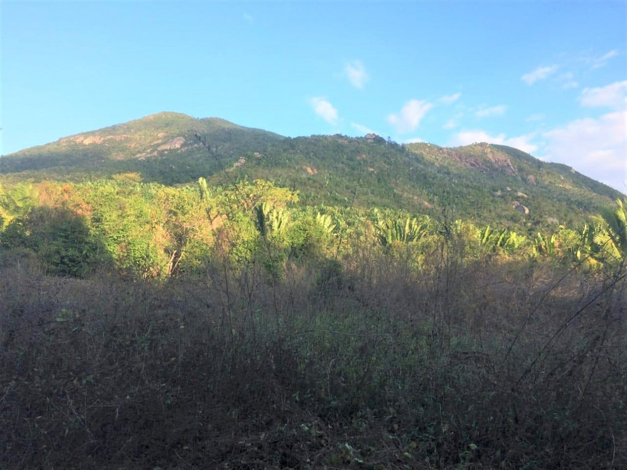 à vendre Propriété Nosy Faly - Photo 6