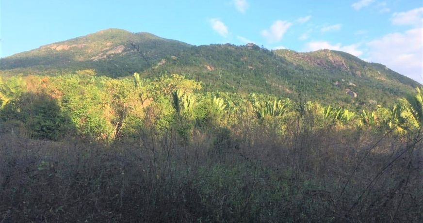 vente Propriété Nosy Faly